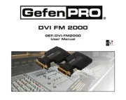Gefen