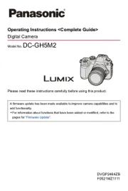 Panasonic