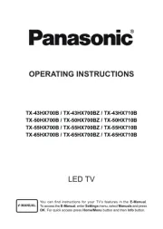 Panasonic