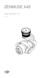 DJI