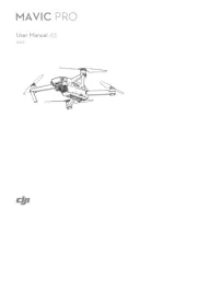 DJI