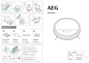 AEG