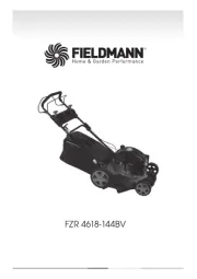 Fieldmann