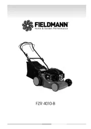Fieldmann