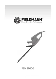 Fieldmann