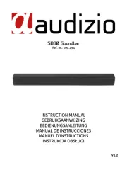 Audizio