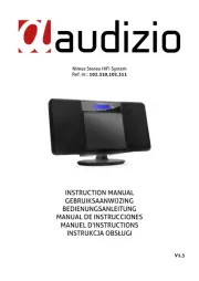Audizio