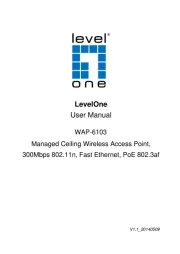 LevelOne