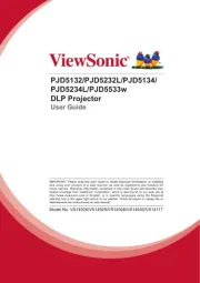 Viewsonic