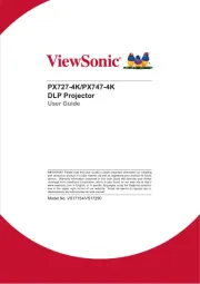 Viewsonic