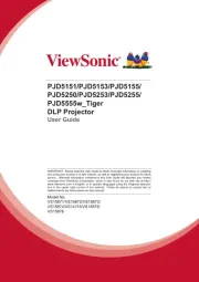 Viewsonic