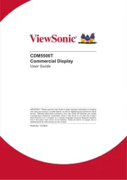 Viewsonic