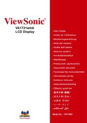 Viewsonic