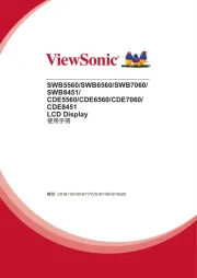 Viewsonic