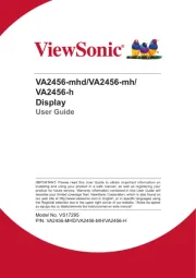 Viewsonic