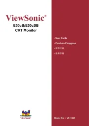 Viewsonic