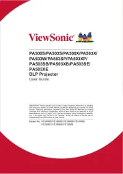 Viewsonic