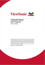 Viewsonic