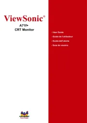 Viewsonic