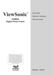 Viewsonic