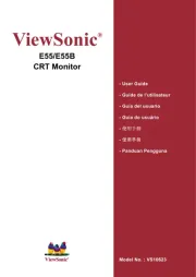 Viewsonic