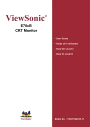 Viewsonic