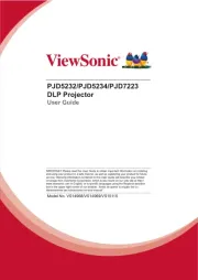 Viewsonic