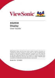 Viewsonic