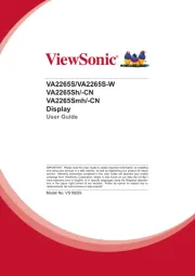 Viewsonic