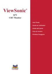 Viewsonic