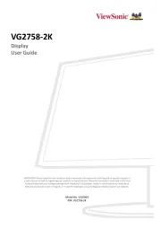 Viewsonic