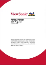 Viewsonic
