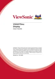 Viewsonic
