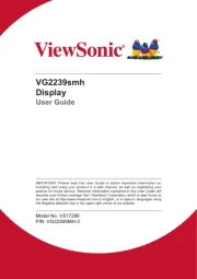 Viewsonic