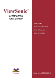 Viewsonic