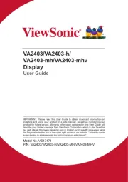 Viewsonic