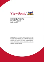 Viewsonic