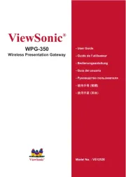 Viewsonic