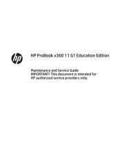 HP