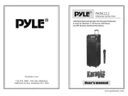 Pyle