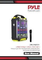 Pyle