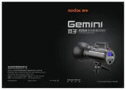 Godox