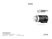 Godox