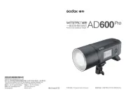 Godox