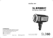 Godox