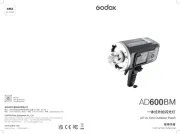 Godox