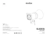 Godox