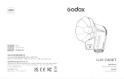 Godox