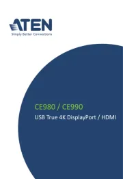 ATen
