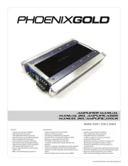 Phoenix Gold